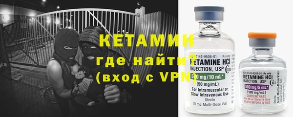 прущие грибы Тавда