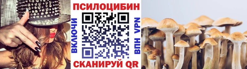 закладка Мыски Псилоцибиновые грибы прущие грибы